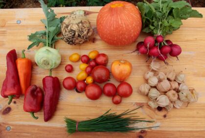 GemüeseKiste KW 36, frisch, lecker, natürlich gewachsen