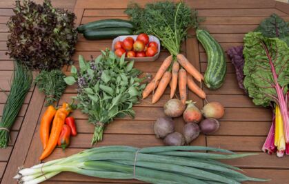 GemüeseKiste KW 31, frisch, lecker, natürlich gewachsen