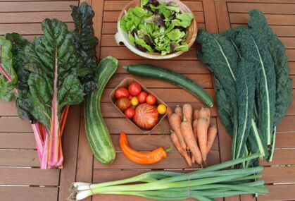 GemüeseKiste KW 33, frisch, lecker, natürlich gewachsen