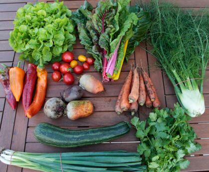 GemüeseKiste KW 36, frisch, lecker, natürlich gewachsen