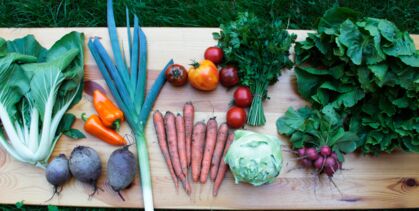 GemüeseKiste KW 36, frisch, lecker, biologisch